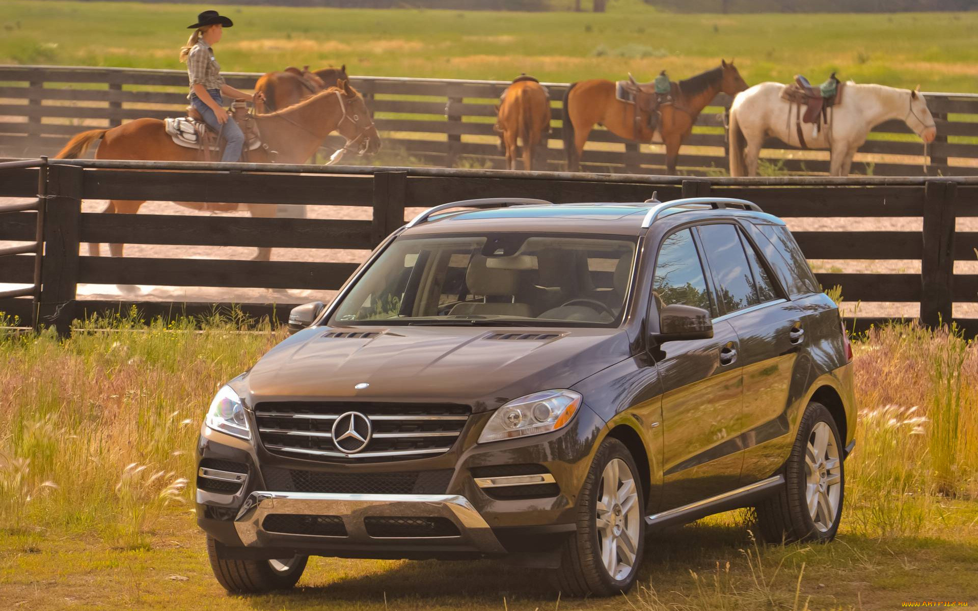 , mercedes, benz, mercedes-benz